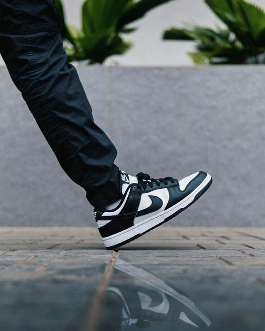 Nike dunk SB